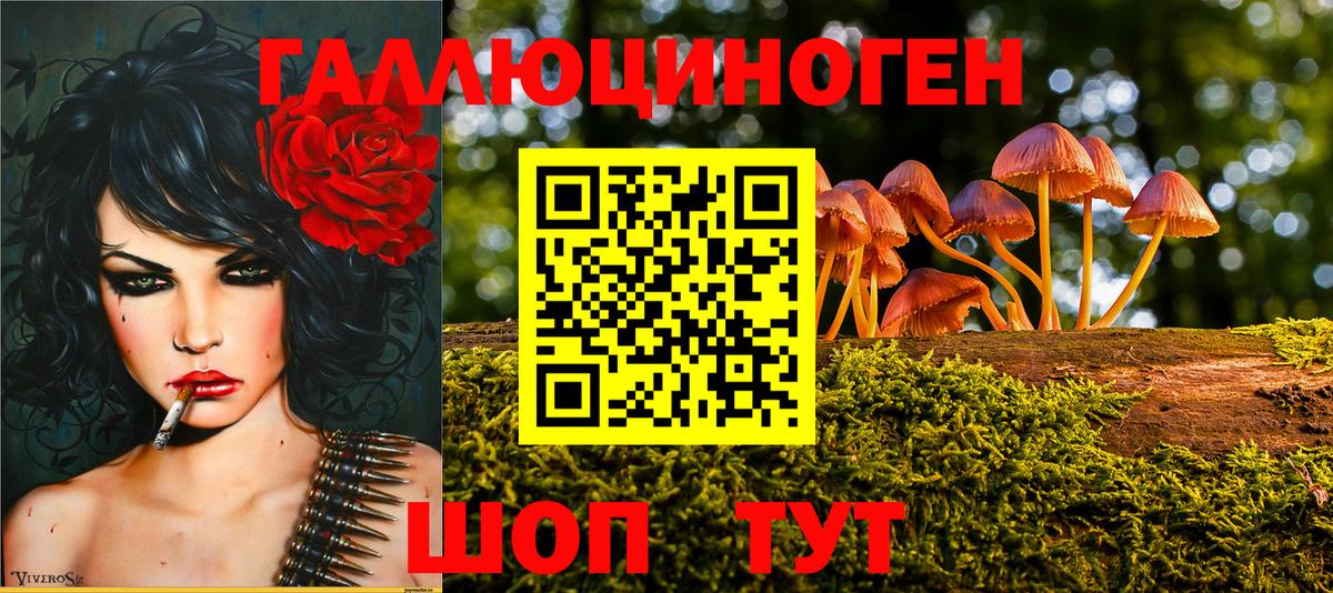 Галлюциногенные грибы MAGIC MUSHROOMS  Вход с VPN  Калуга  купить   Галлюциногенные грибы Psilocybe 