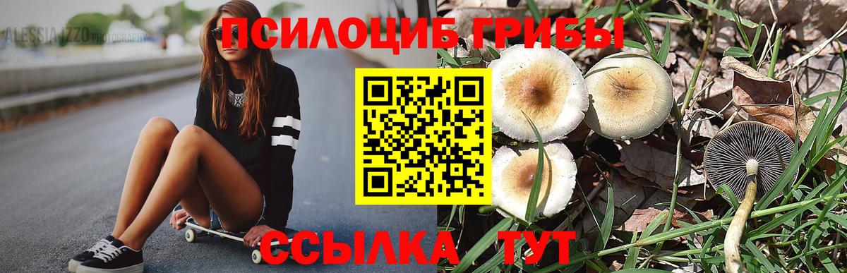 Галлюциногенные грибы GOLDEN TEACHER Калуга